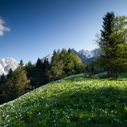 vom Glockner bis ins Lavanttal_11